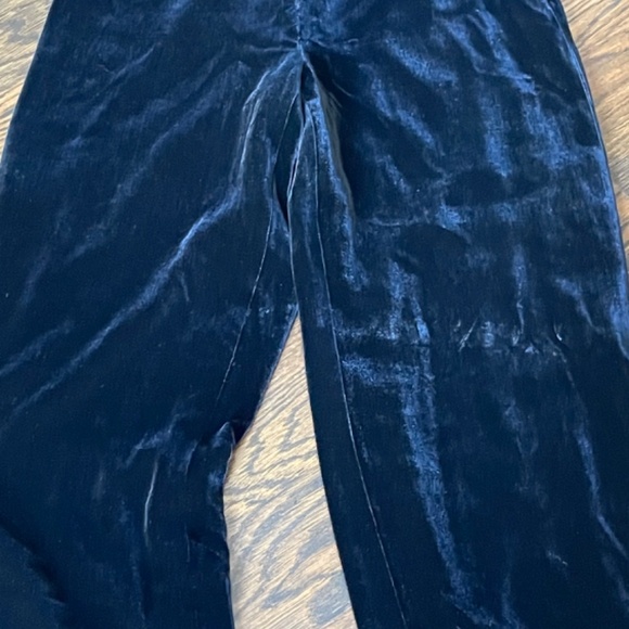 Ann Taylor Silk Blend Velvet Pants - Picture 3 of 4